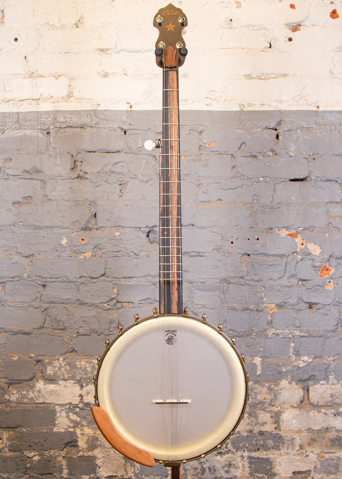 Deering Banjo Company: Vega Vintage Star