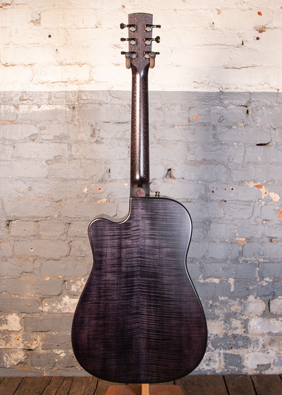 Beard Guitars: Trailhead-E Roundneck - Black Ice