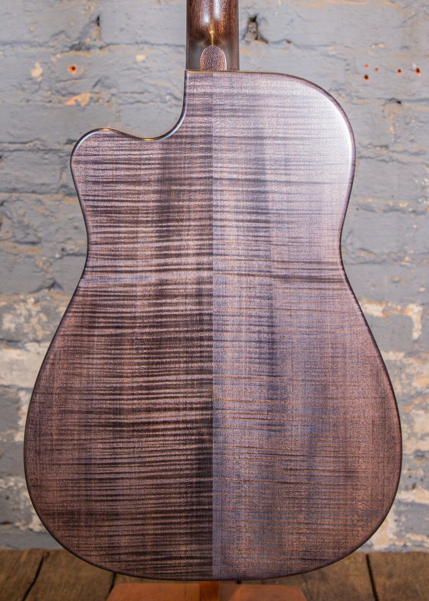 Beard Guitars: Trailhead-E Roundneck - Black Ice