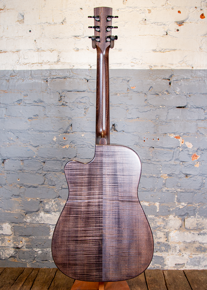 Beard Guitars: Trailhead-E Roundneck - Black Ice