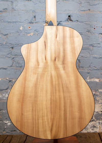 Breedlove: Oregon Concert CE