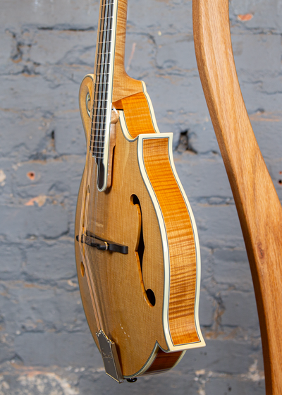 Bourgeois Guitars: M5-F Mandolin