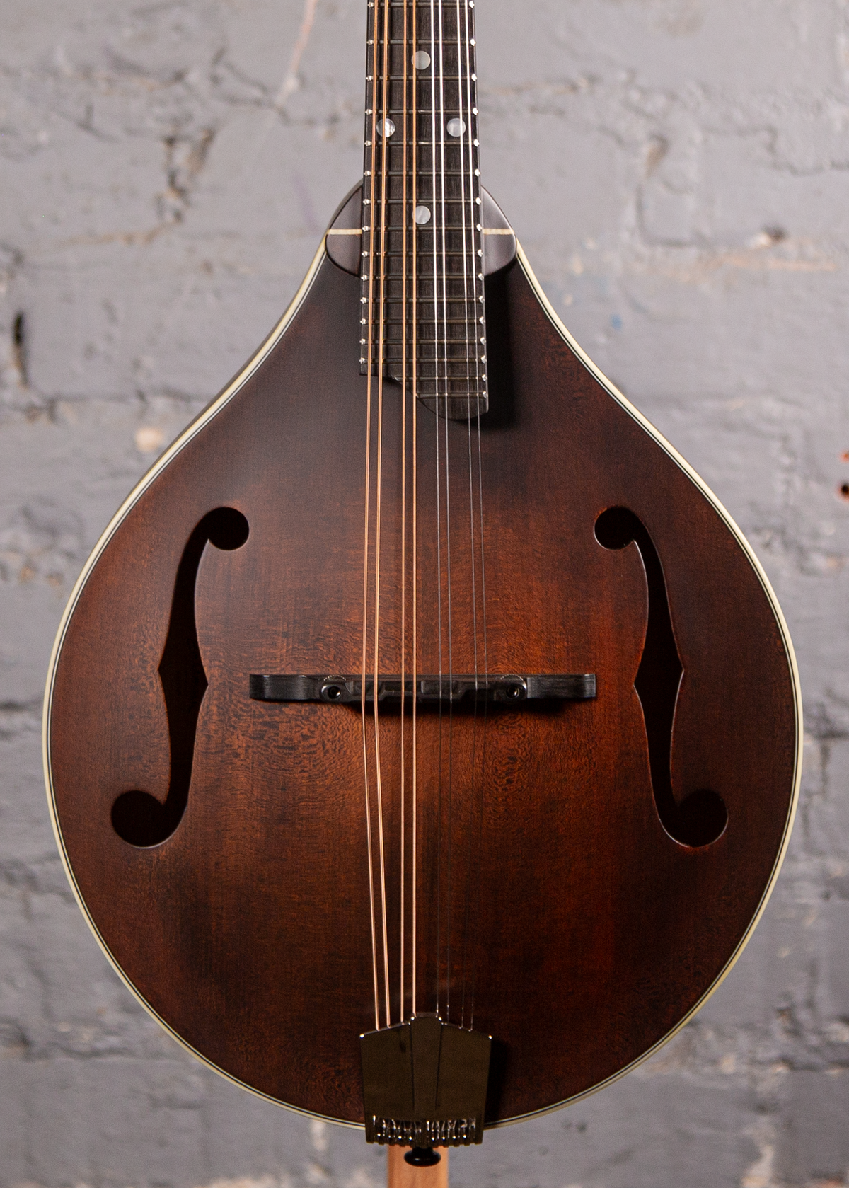Eastman Guitars: MD-305 Mandolin