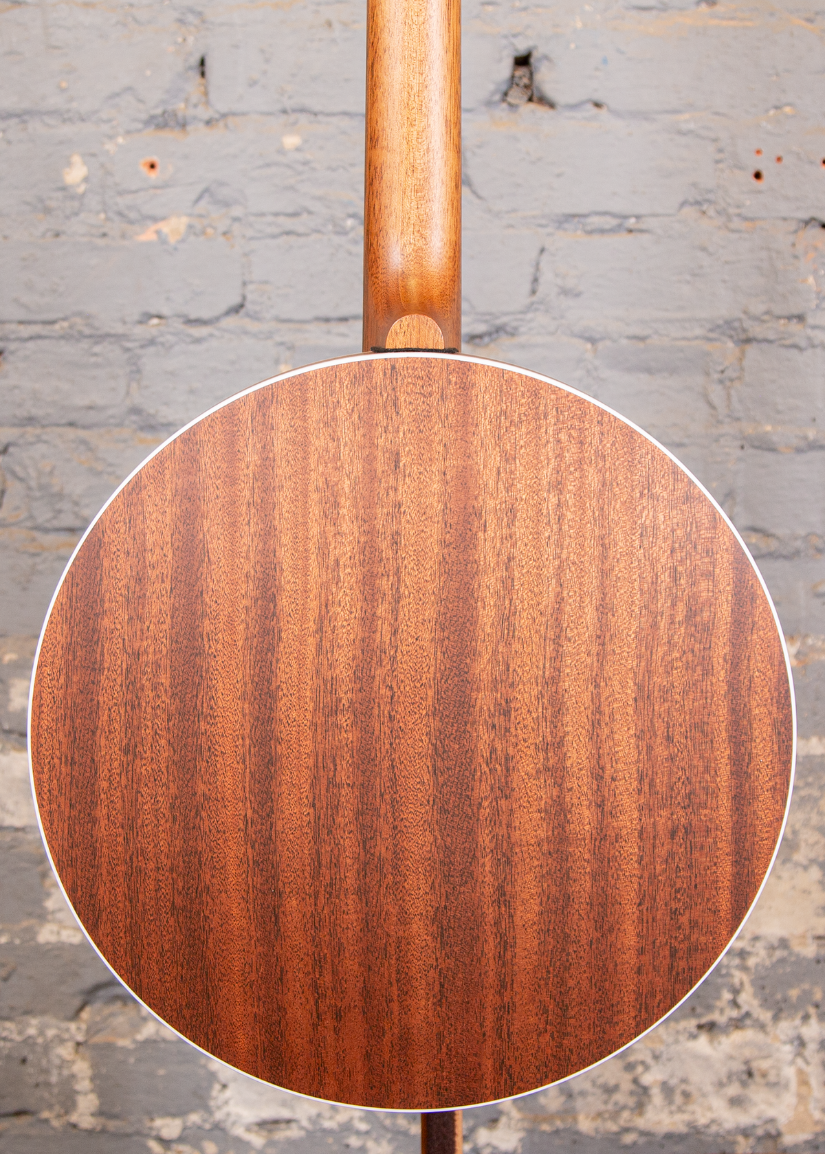 Deering: Sierra Mahogany 5-string banjo