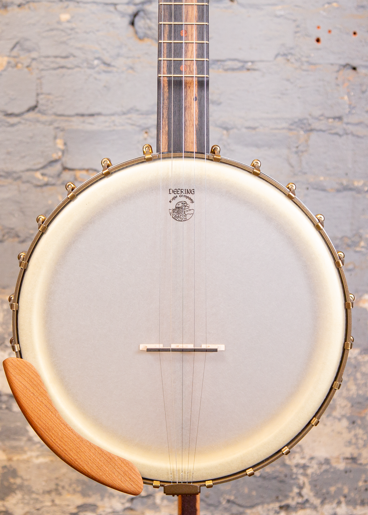 Deering Banjo Company: Vega Vintage Star