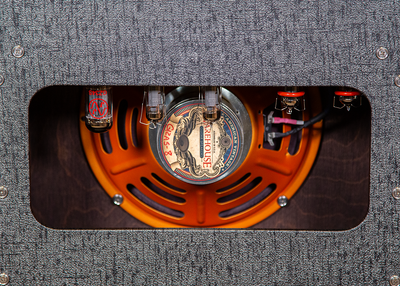 Eddie Wang Instruments: Quantum Zen 1x12 Combo